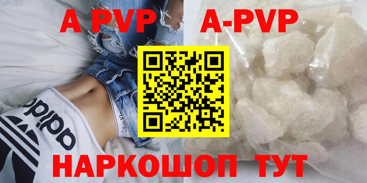 A-PVP СК КРИС Шадринск
