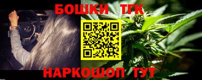 прущий лед Новозыбков