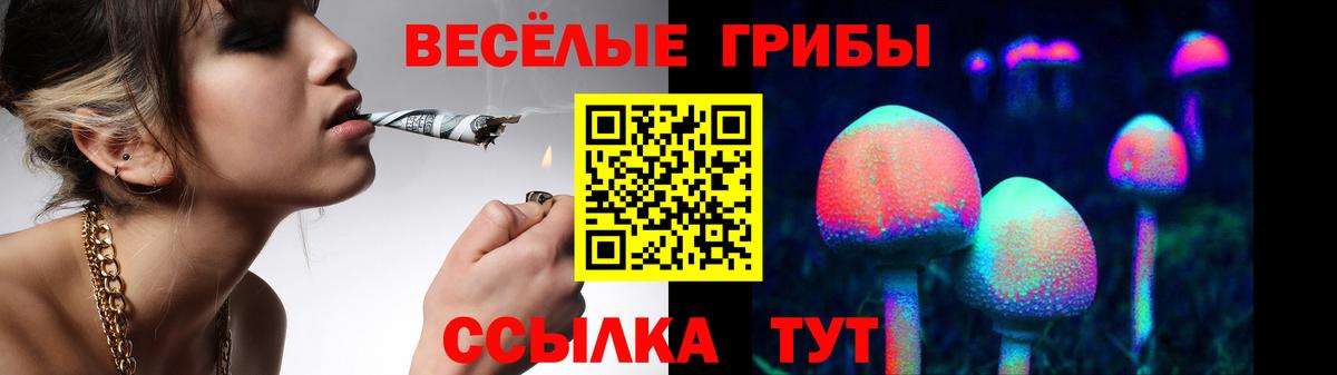 Псилоцибиновые грибы Psilocybe Шадринск